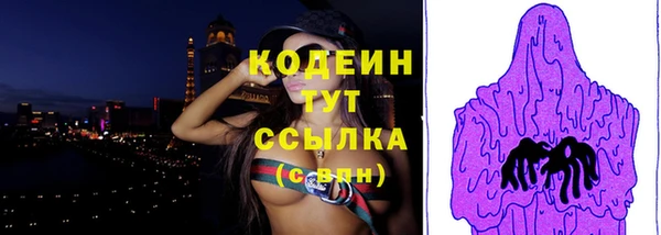 гашик Абаза