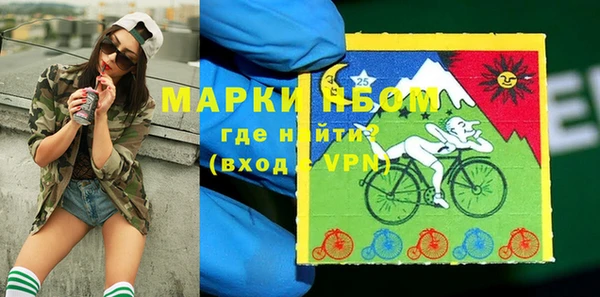 индика Алексеевка
