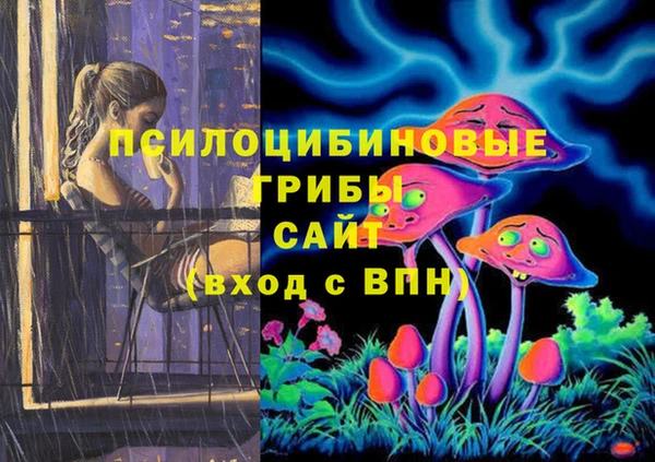 гашик Абаза