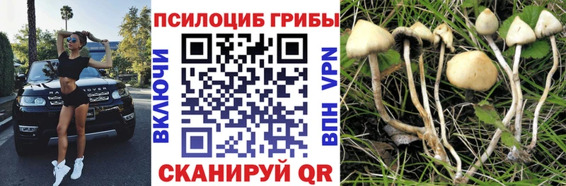 hydra ссылки  Кировград  Галлюциногенные грибы мухоморы 