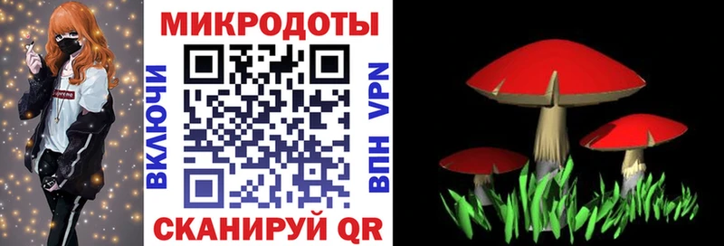 Галлюциногенные грибы мицелий Кировград